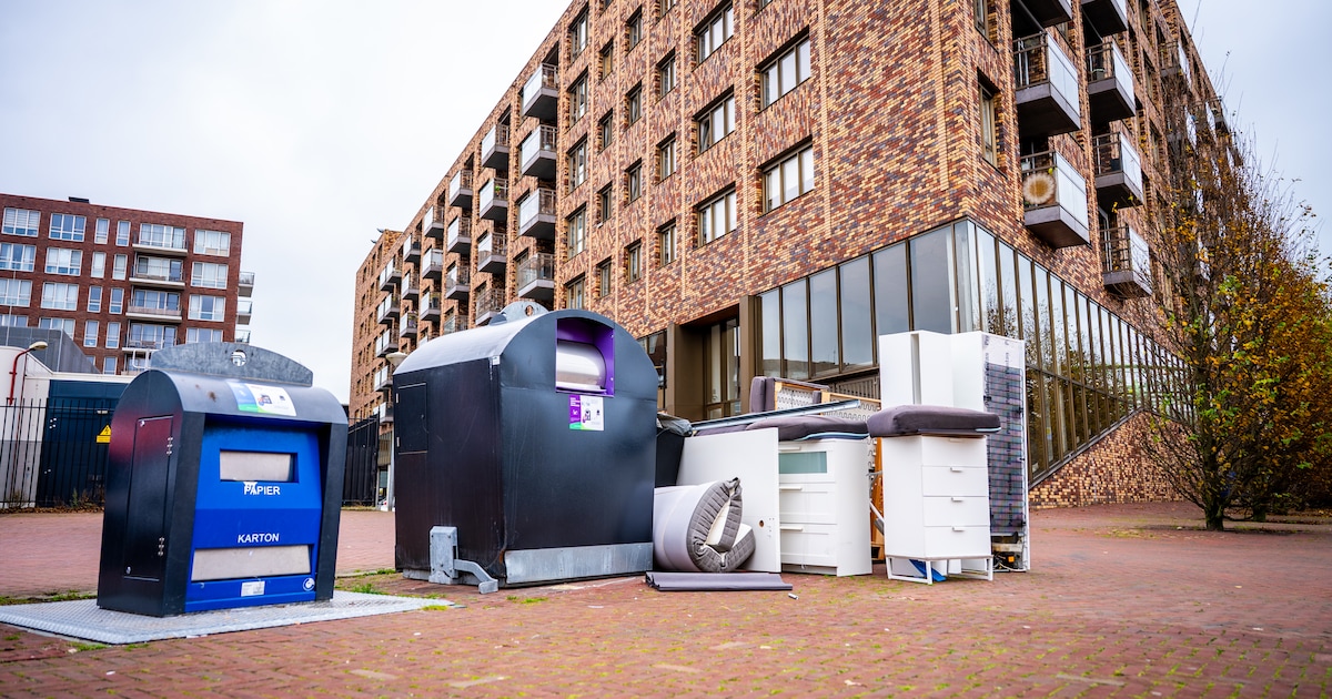 Meeuwen pikken rondslingerende zakken open bij afvalcontainers: bewoners zijn het zat