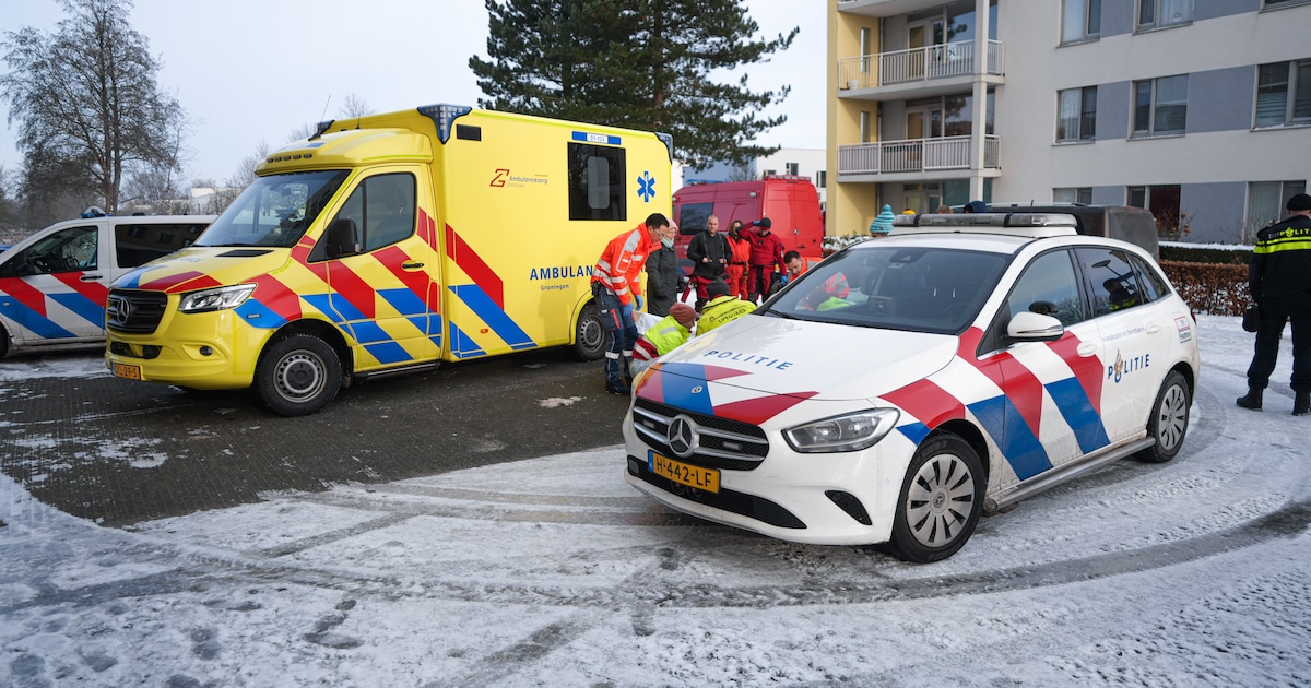 Persoon zakt door ijs op het Hoornsemeer in Groningen tijdens redden van hond