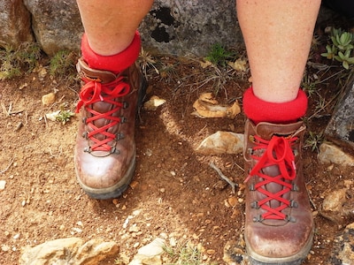 Winterwandeling op landgoed Hagen in Doetinchem