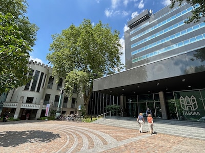 Image related to the article