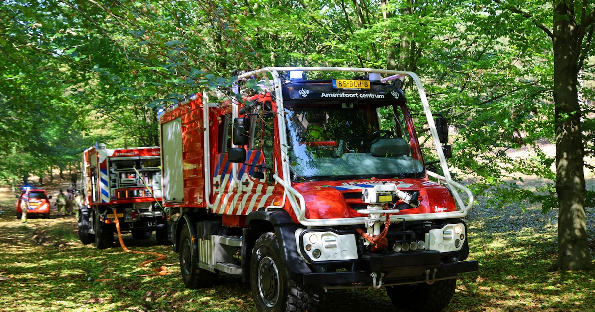 Brand op heide bij Soest snel onder controle