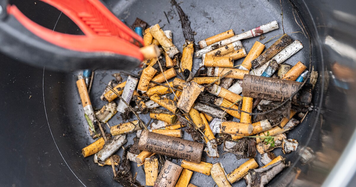 'Hey Viespeuk': SC Dynamo Ursem start actie tegen peuken rondom sportterrein