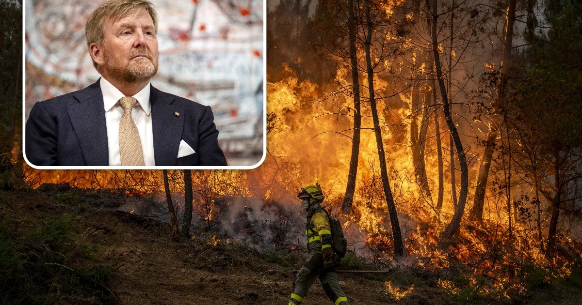 Koning komt kijken hoe bewoners in Austerlitz zich zélf voorbereiden op natuurbrand