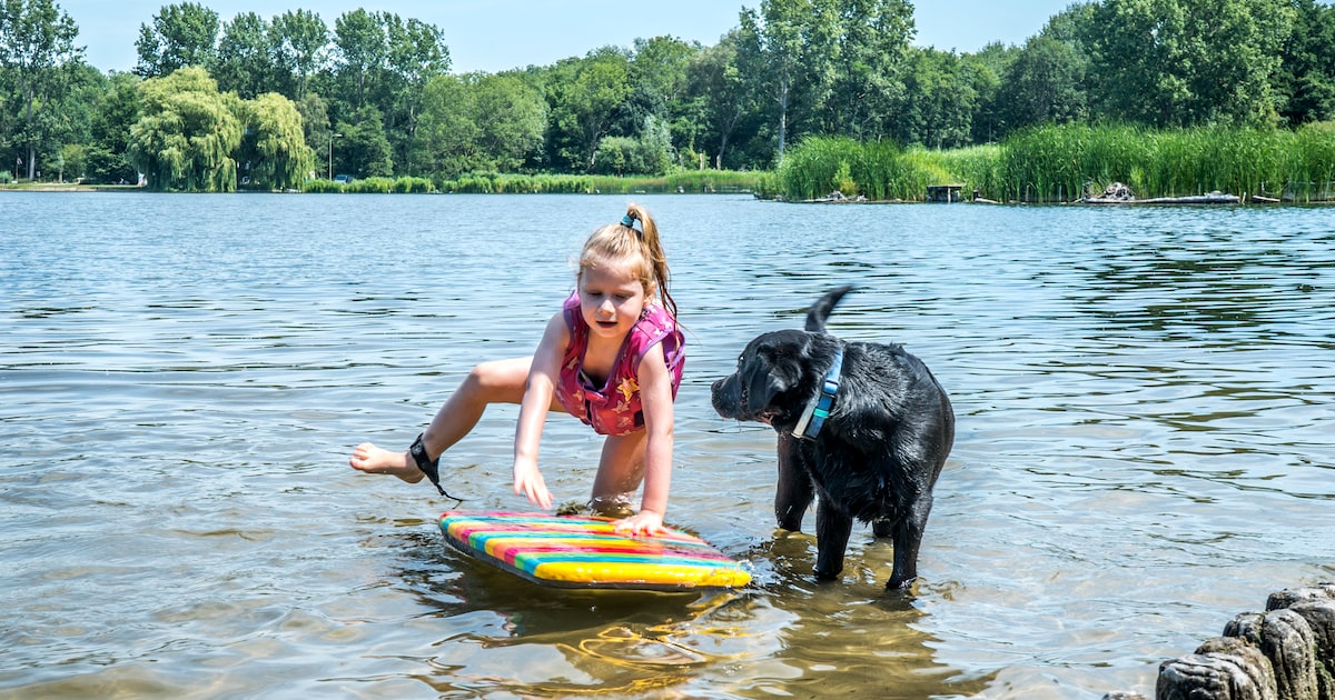 Delftse Hout wordt beter toegankelijk voor rolstoelgebruikers: ‘Niet fijn als je uitgeput op bestemm