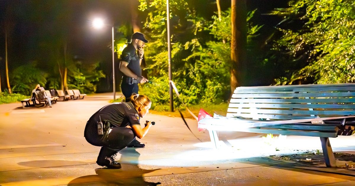 Man krijgt 3,5 jaar cel: schopte dronken Rotterdammer (19) in park tot blijvend hersenletsel