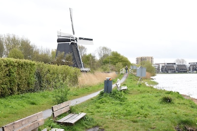 You can soon look inside these Haarlem windmills