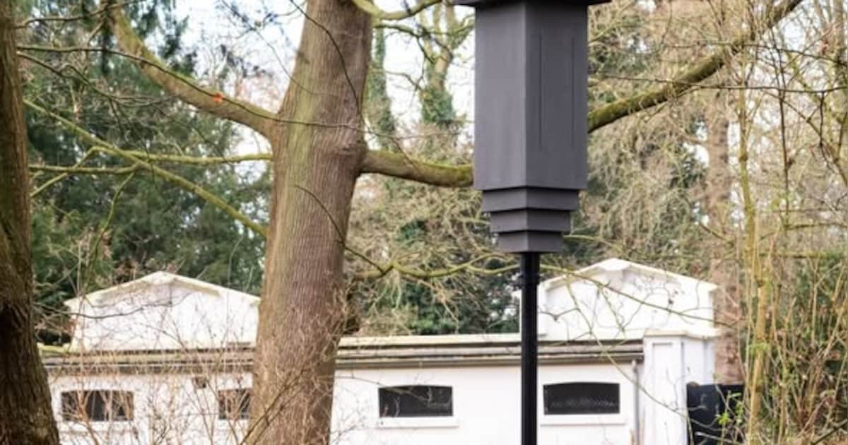 Nieuwe vleermuiskasten geplaatst in Leeuwarden