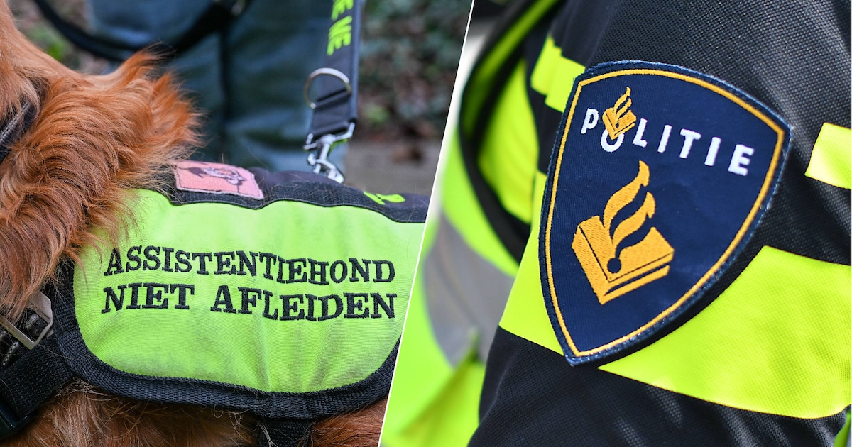 Collega’s van agent droomden van politiewerk, maar zijn nu aangewezen op hulphond: ‘Dat raakt me’