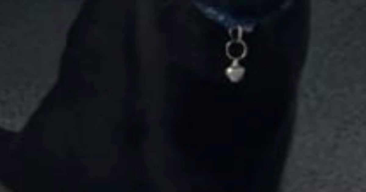 Heb jij Cookie gezien? Dit huisdier wordt in Woudenberg vermist