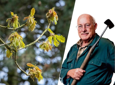 We vergeten de natuurlijke airco, die we weliswaar uit het buitenland moeten halen