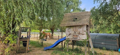 Image related to the article