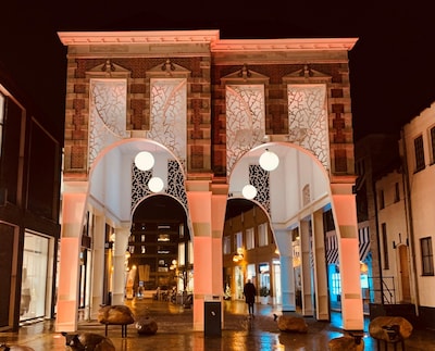 Veenendaalse gebouwen kleuren binnenkort oranje: dit is waarom