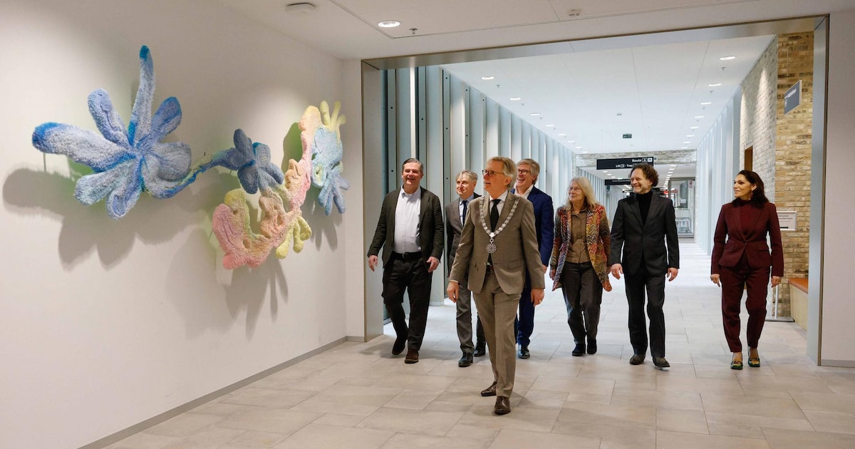 Hilversum viert opening nieuw kunstwerk bij ziekenhuis Tergooi MC