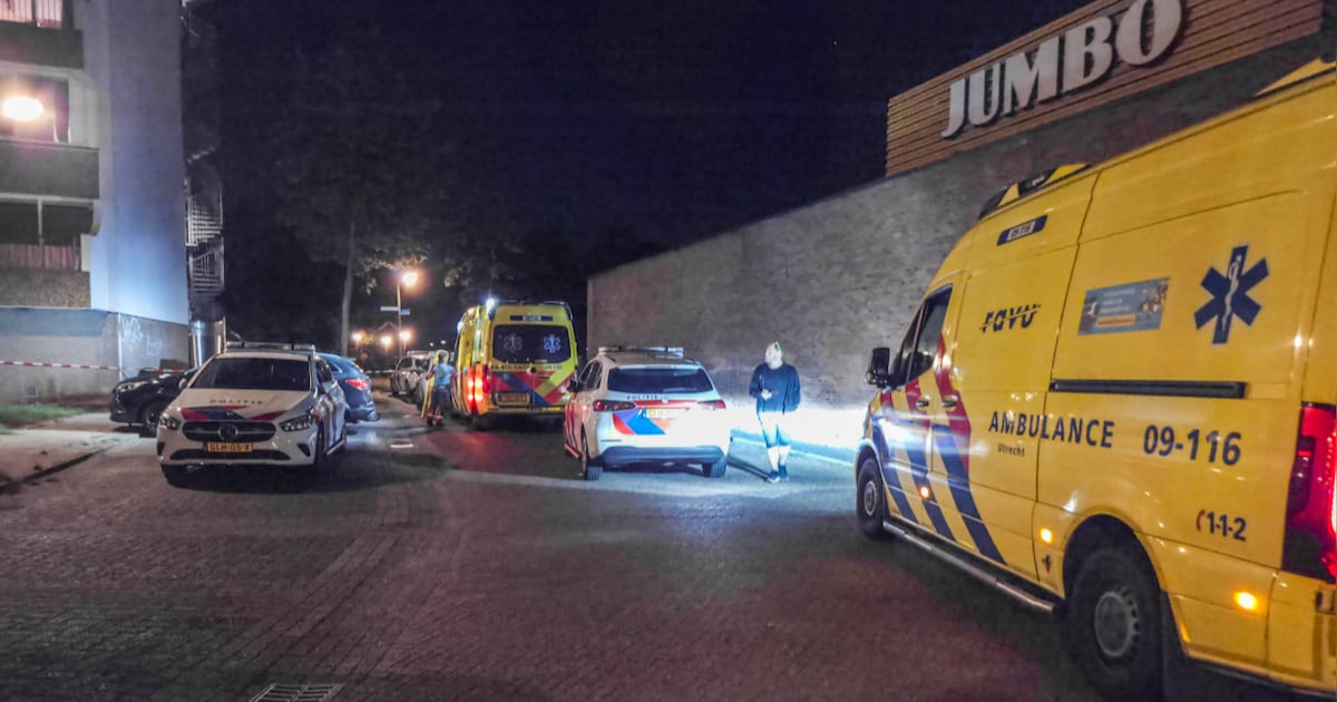 Opnieuw onrustige avond rond winkelcentrum Schothorst: 24-jarige man aangehouden voor steekincident