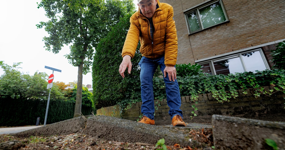 Losliggende stoeptegels zorgen voor irritatie in Boxtel: ‘Als mensen vallen, breken ze iets’