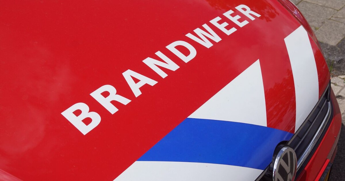 Aansteker van autobrand in Overvecht vat ook zélf vlam