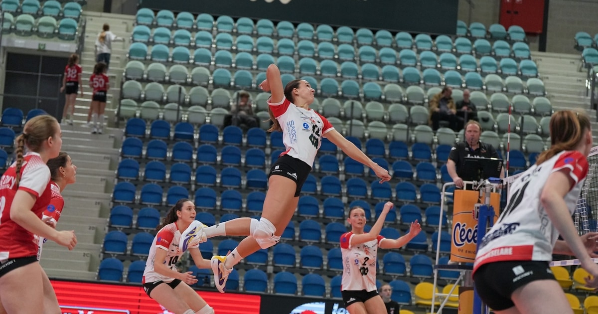 Europese hoogdagen voor Belgisch clubvolleybal: zeven topaffiches in één week