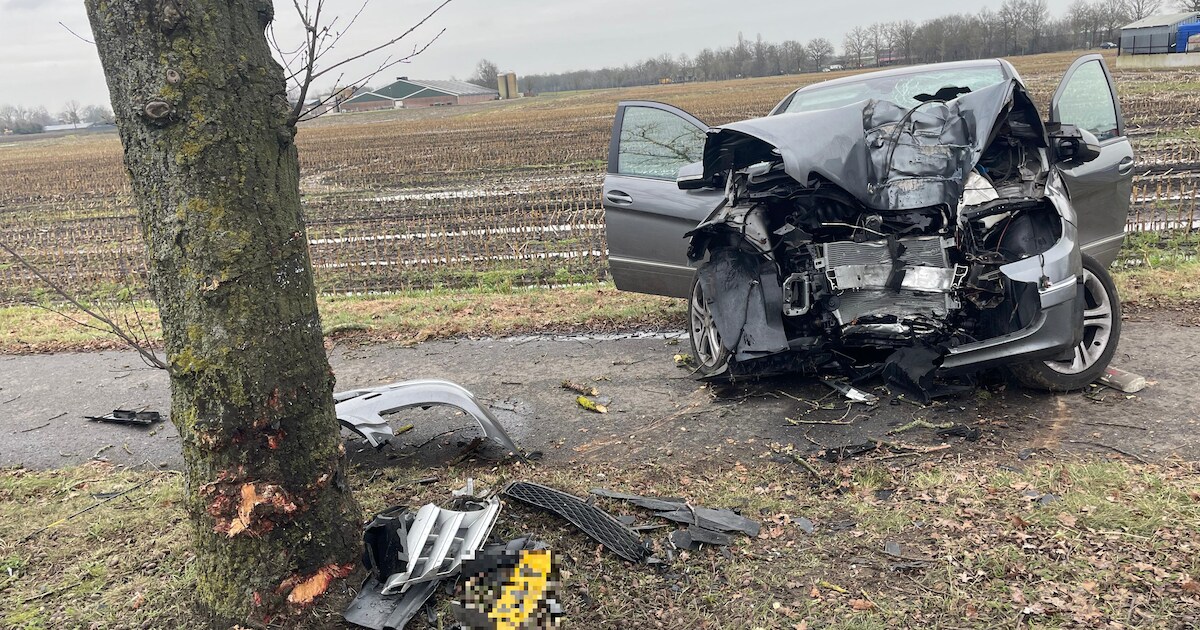 Automobilist overlijdt bij botsing tegen boom in Budel