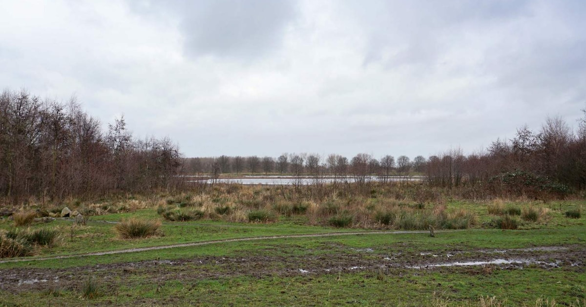 Hardloopevenement SuperHero Run gaat door Broekpolder in Vlaardingen met verschillende afstanden