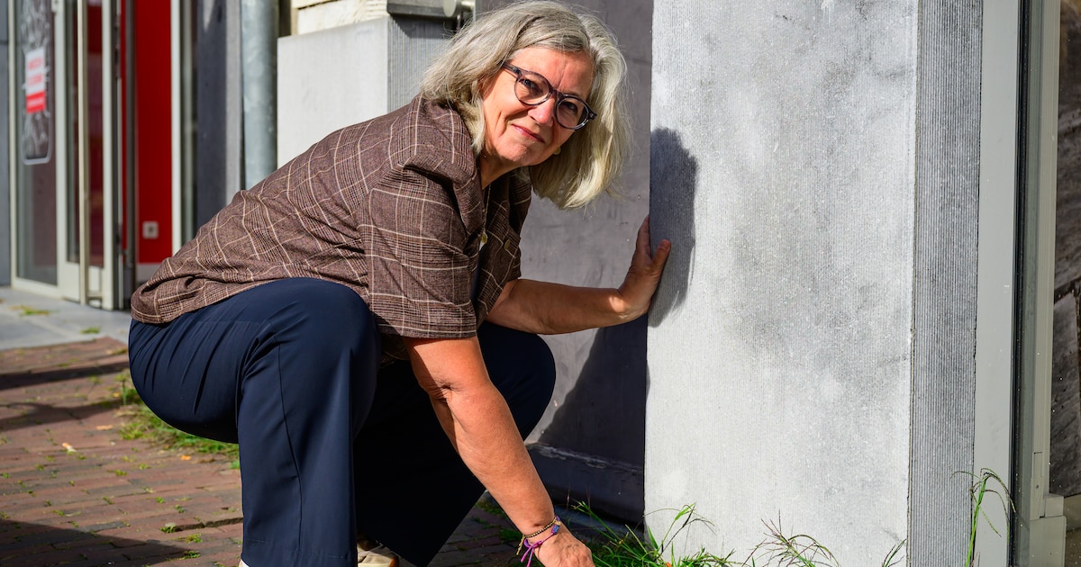 De oorlogsgeschiedenis van Amersfoort blijft Monique verwonderen: ‘Ik geloof dat veel mensen nog oud