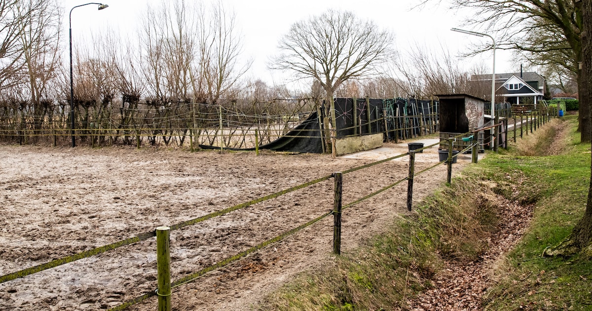 Buren delen passie, maar die slaat om in ergernis. Nu staan ze samen voor de rechter: ‘Wilt u dan da