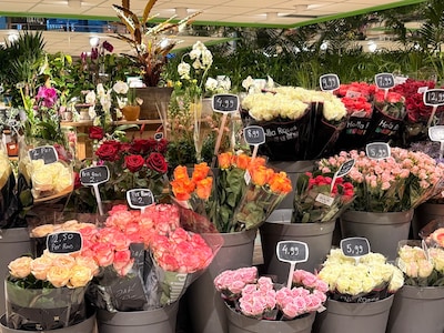 Haal de lente in huis! 6 x bloemisten in Helmond