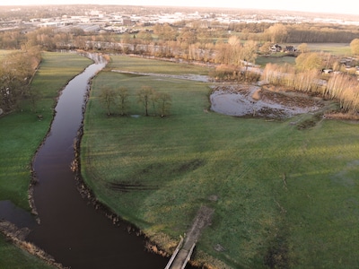 Image related to the article