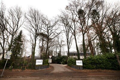 Image related to the article