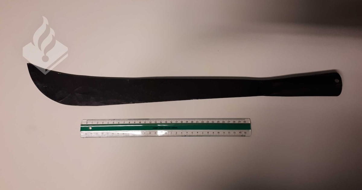 Man (65) de cel in voor uithalen met een machete en het stalken van een vrouw