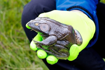 Image related to the article