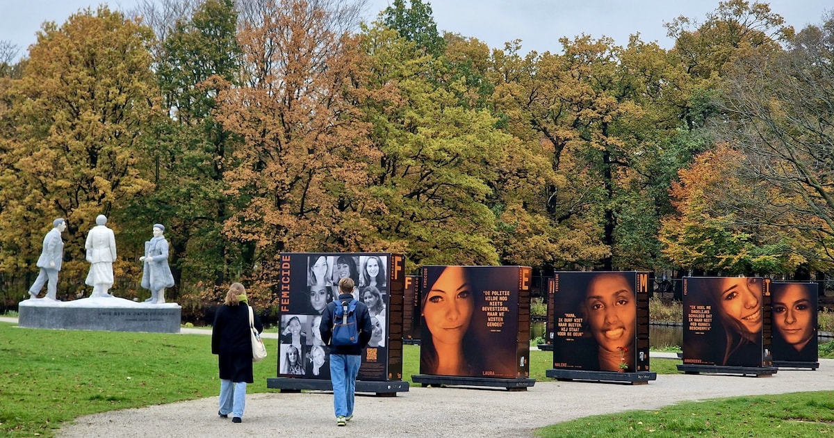 Gemeente opent expositie over femicide in gemeentehuis Dokkum: open tot 15 september