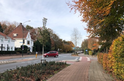 Image related to the article