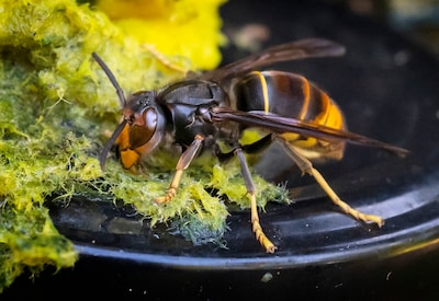 Image related to the article