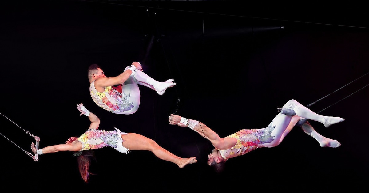 Mega Kerstcircus Haarlem krijgt nieuwe producent