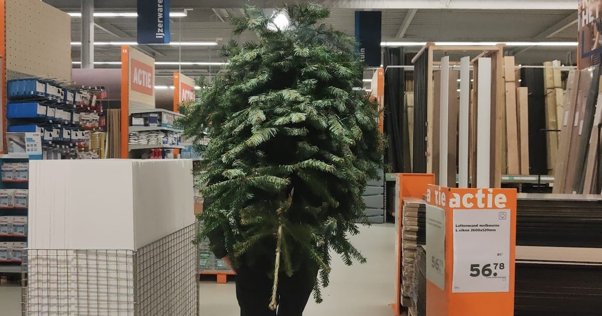 Bye bye boom! Hier in Woerden lever jij je kerstboom in