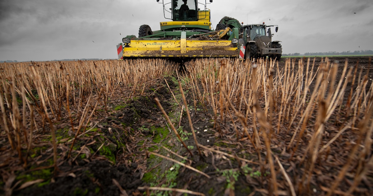 Gratis energieadvies voor agrariërs in gemeente Schagen