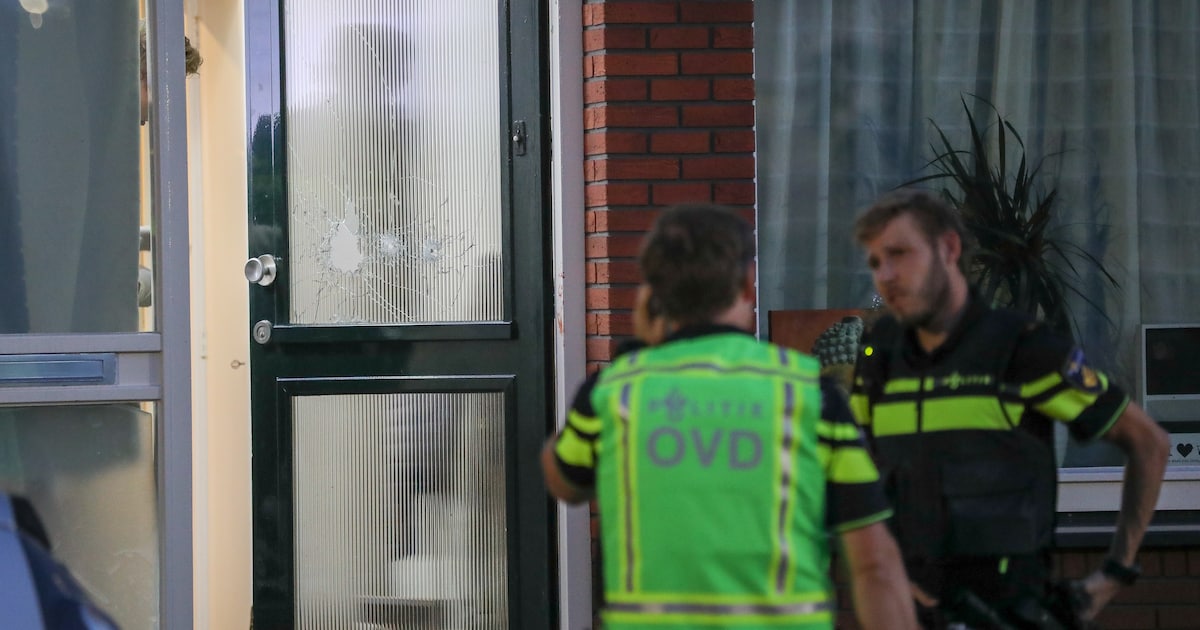 Man (34) aangehouden voor schietpartij in Geervliet