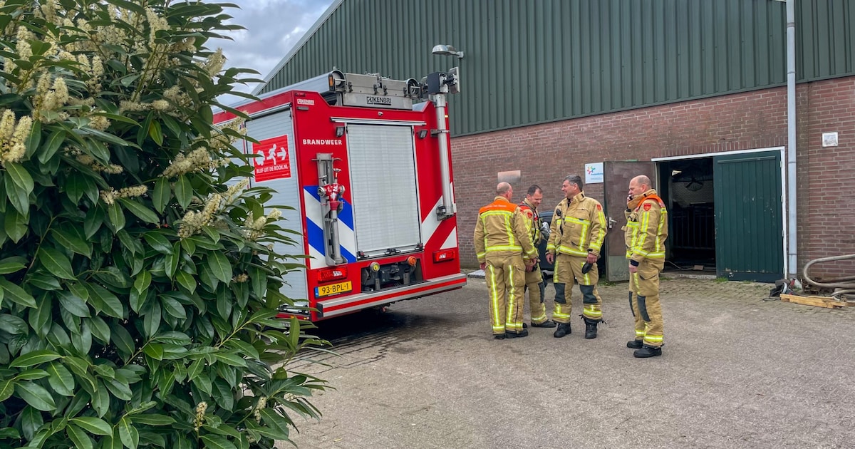 Brand in stal met koeien in Vlierden, dieren en eigenaar ongedeerd