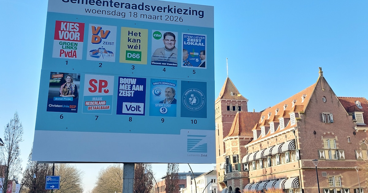 Deze Zeistenaren zijn met voorkeurstemmen in de gemeenteraad gekozen en dit is wat ze doen met hun z