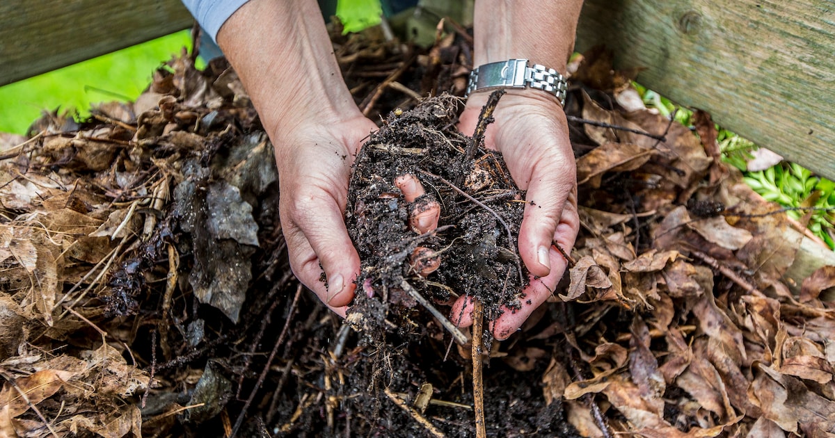 Composteren kun je leren: IVN Roden-Norg houdt gratis cursus