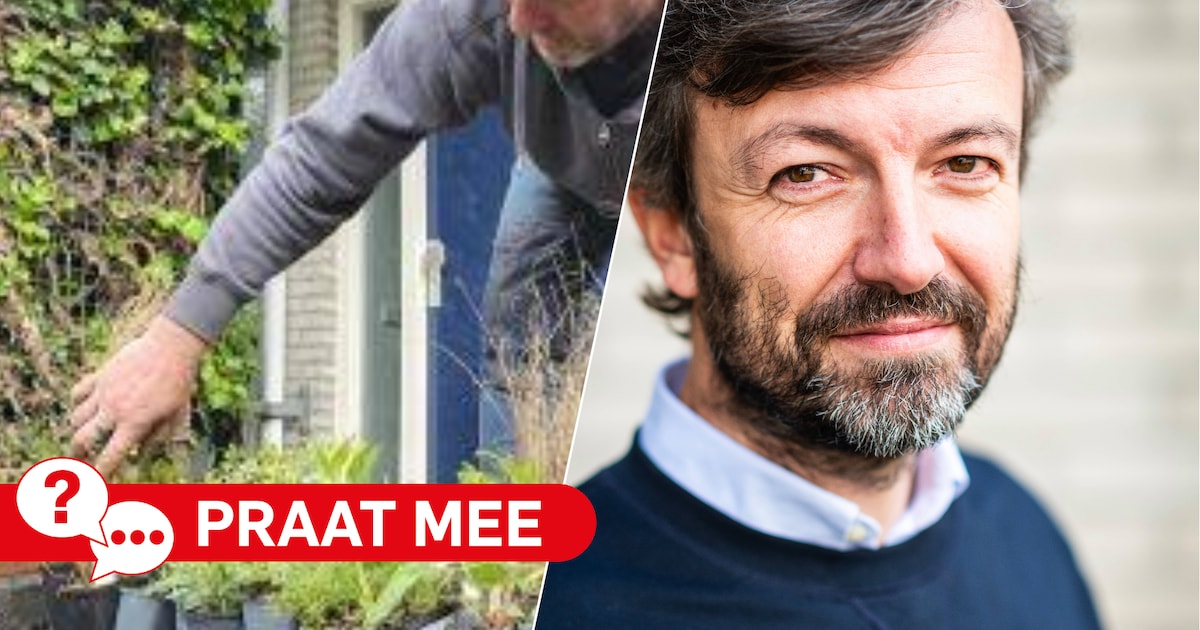 Doe je iets aan vergroening in de tuin om de hitte in Alphen te weerstaan?