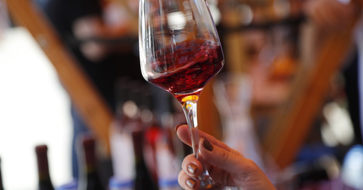 Nieuwe Roy Schuitenstraat onthuld in Zandvoort, fietsfeest voor kinderen na opening