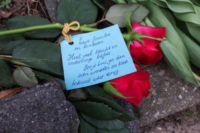 Image related to the article