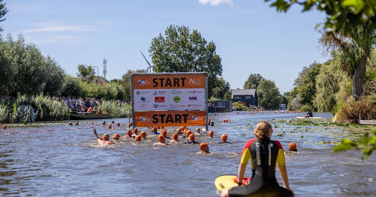 Maar liefst 795 zwemmers doen mee aan A Local Swim in De Lier