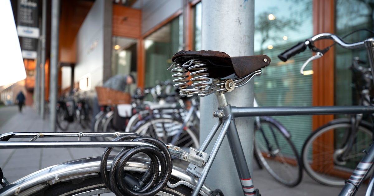 Grote zorgen over fietsdiefstallen in Leidsche Rijn Centrum: waar blijft die bewaakte stalling?