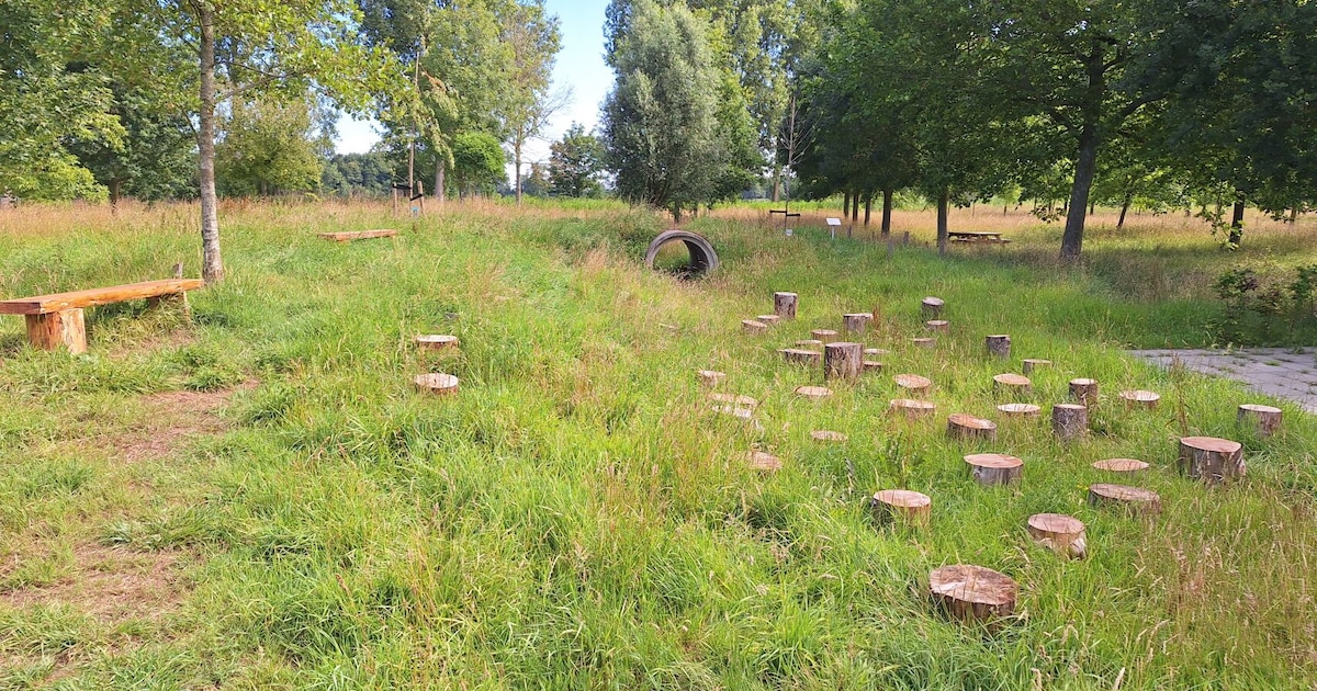 Familiegeheim onthuld tijdens appeloogst: nieuw toneelstuk in Brielle te zien