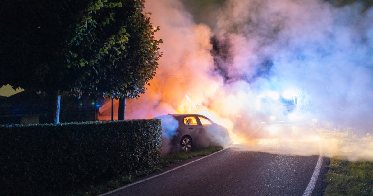 Twee auto's in Schiedam beschadigd door vuur