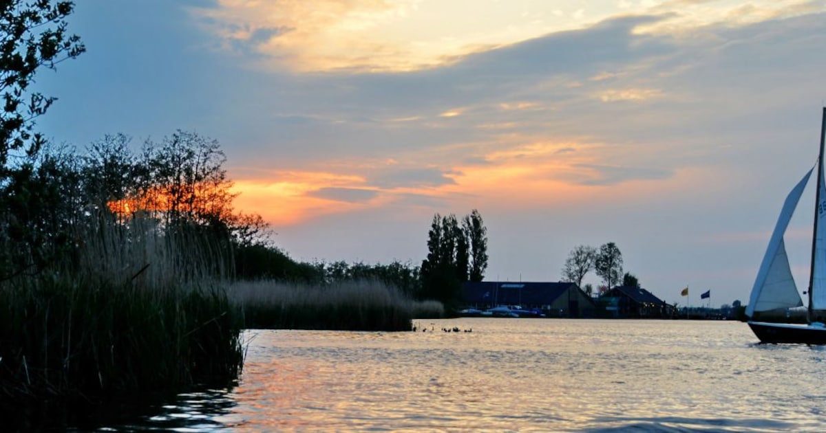 Herinrichting Broekpolder Vlaardingen: 3550 oude bomen maken plaats voor bijna 40.000 nieuwe