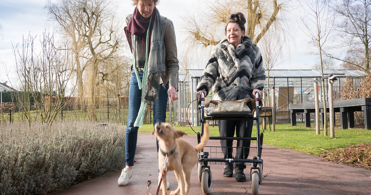 Bijzondere match tussen vrijwilligster en bewoonster van Oudshoorn