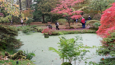 De Japanse Tuin opent weer: vergeet je gratis ticket niet